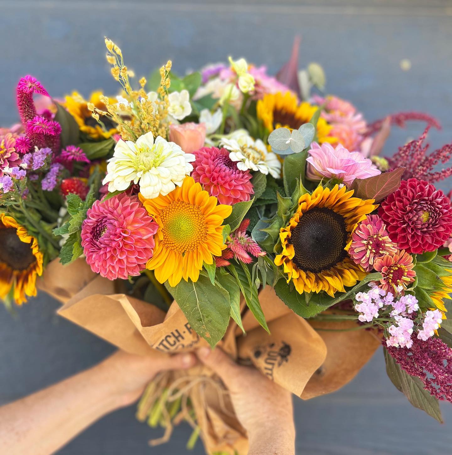 Happy Wednesday! We’ve got the stand... - Dutch Roots Farm