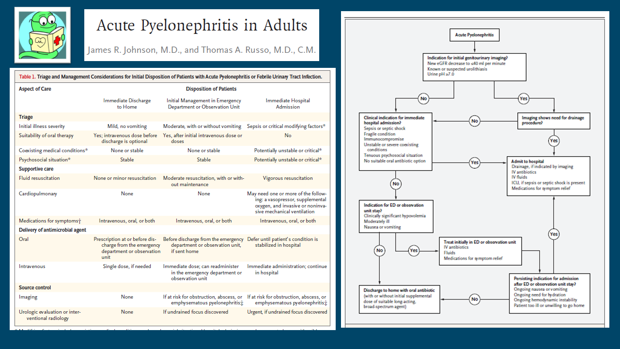 Acute Pyelonephritis (NEJM 2018)... - หนอนน้อยอ่านเปเปอร์ | Facebook