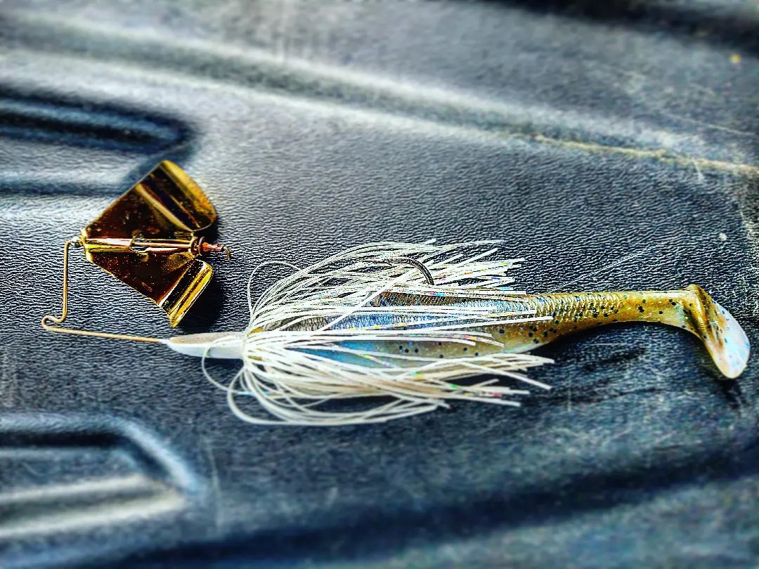 eagles slider fishing net S2 Slider-Large Guide – EGO Flap Tails Color:Candy Bug and the durable construction Blackfin Fin#175 DD80 Fin