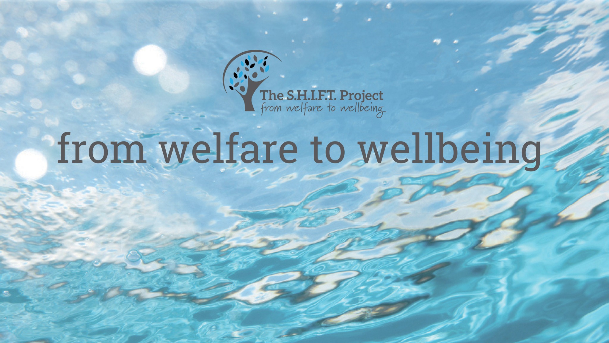 The SHIFT Project
