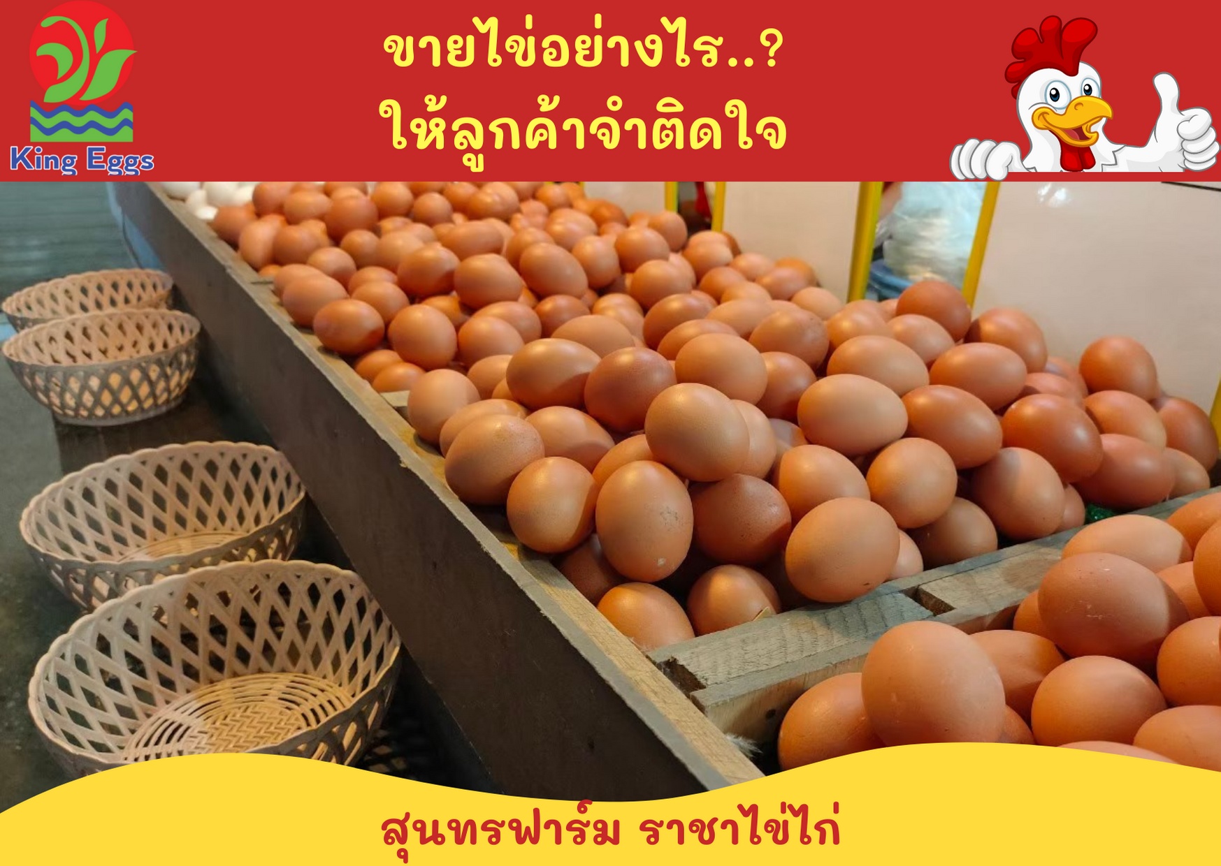 ขายไข่อย่างไร... ... - คิงส์ เอ้กส์ - ราชาไข่ไก่ - King Eggs