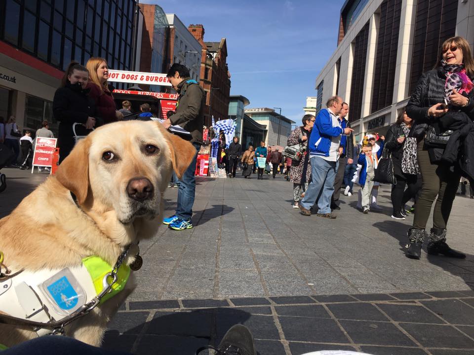 Guide Dogs Northern Ireland... - Guide Dogs Northern Ireland