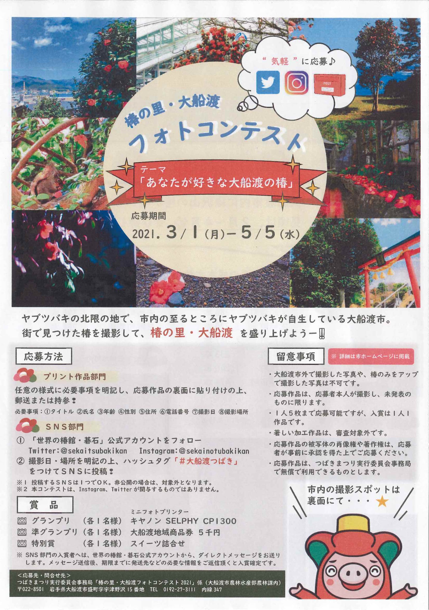 大船渡市市民活動支援センター フォトコンテスト開催中です 昨日から雨風が強く 大船渡の桜はだいぶ花びらを落としましたね これからの葉桜の時期もとても楽しみです 大船渡はヤブツバキの北限の地で 市内の至るところに椿が自生しています あなたが好きな