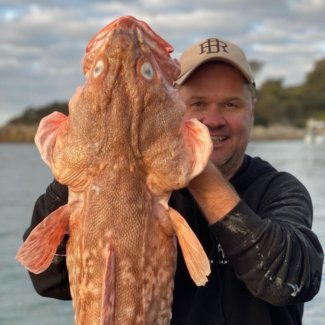Tackle World Australia - Have you ever seen a Ling fish before? IFISH w ...