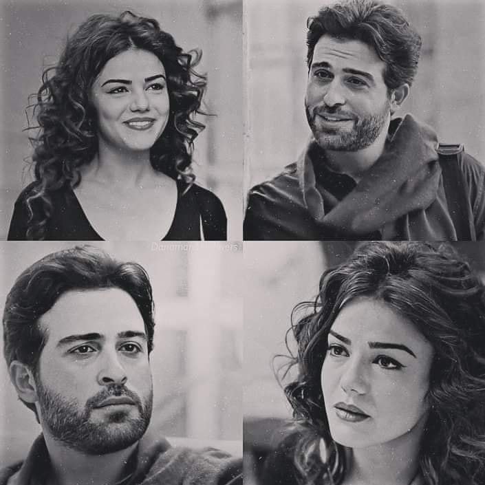 آنامل شاعر أخرس - حتى في لحظات صمتنا، كُنت أنظر إليها وأطمئن، وجودها ...