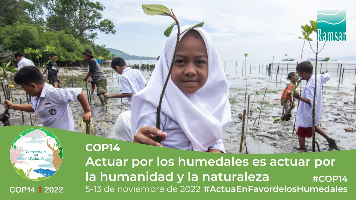 La #COP14 convocará a las... - The Convention on Wetlands
