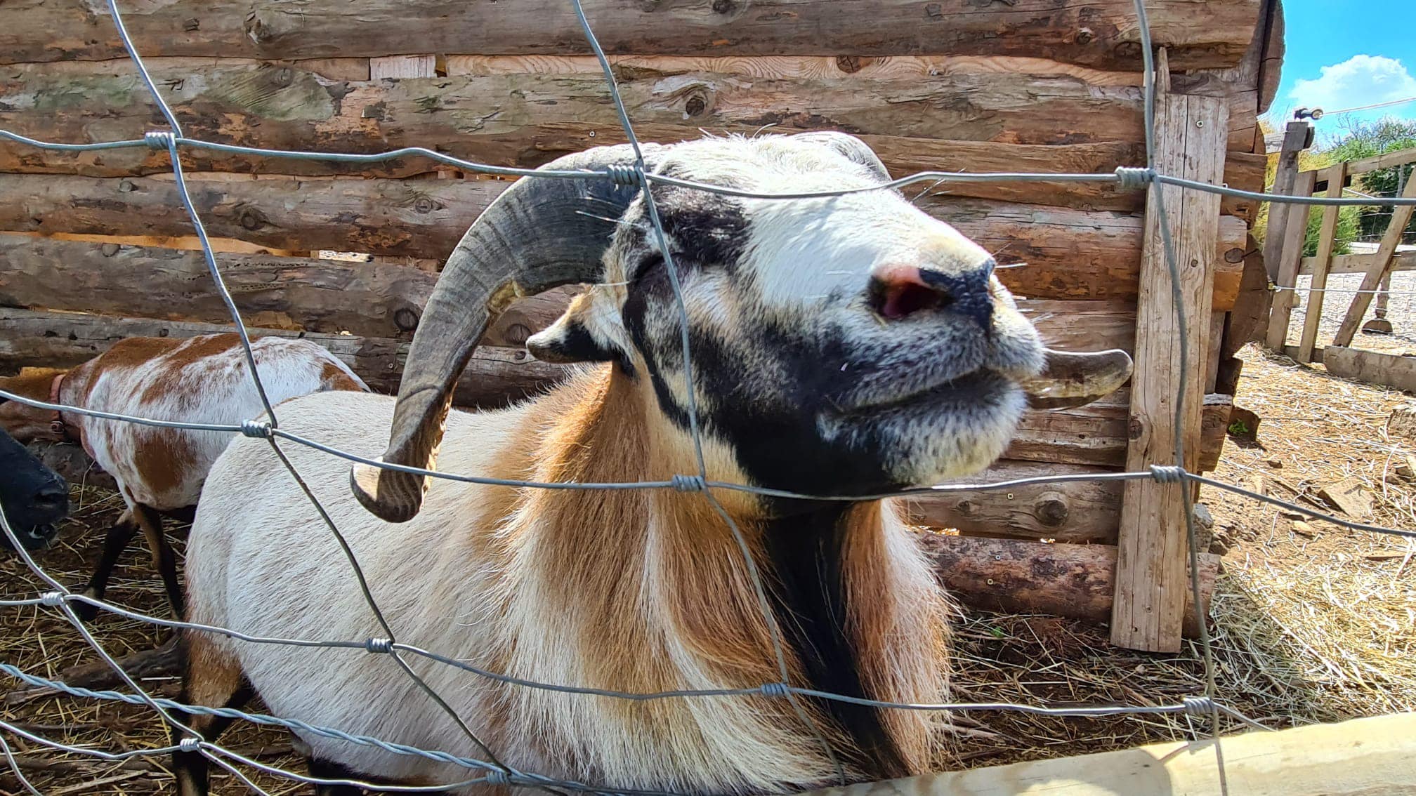 La Ferme De Briska Pédagogique Itinérante