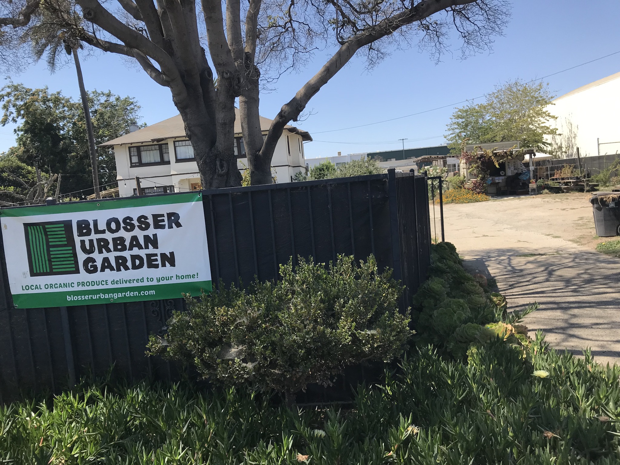 Blosser Urban Garden | Santa Maria CA