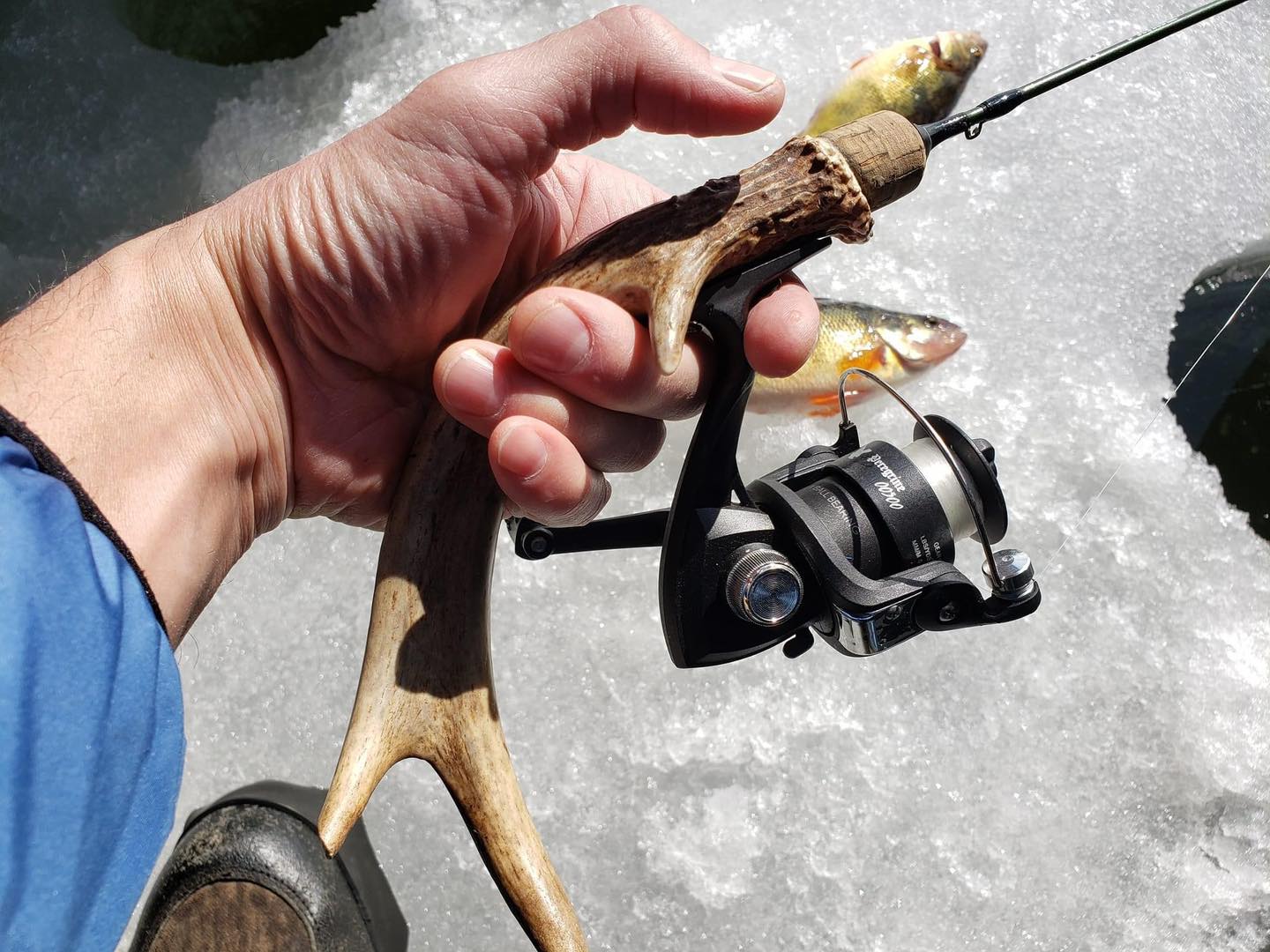 ampere electron iv fly reel spool 8 Abel Super + Spare Charlton Reels – TEX ePE laminate with captain Color:Brown/Yellow