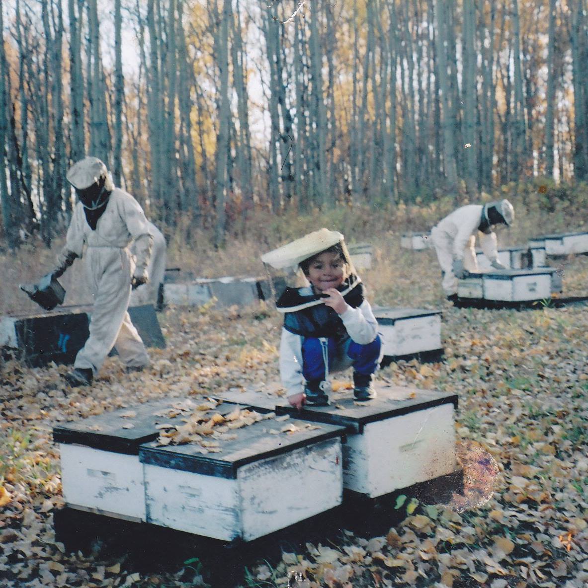 Harvesting a few boxes of honey. 🍯🐝 It’s a busy time for our bees! # ...