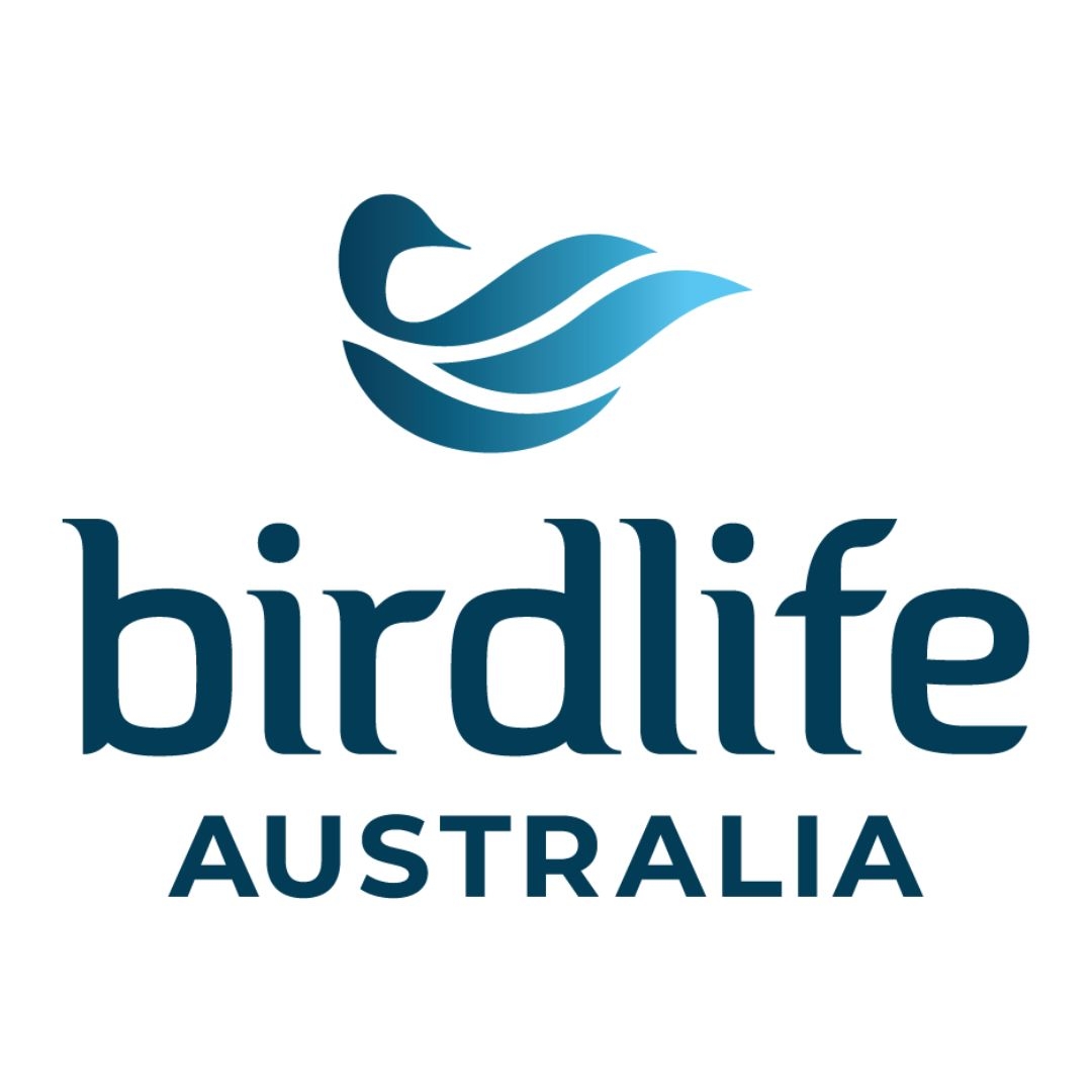 BirdLife - Can you spot the difference? Brown Goshawk vs. Collared ...
