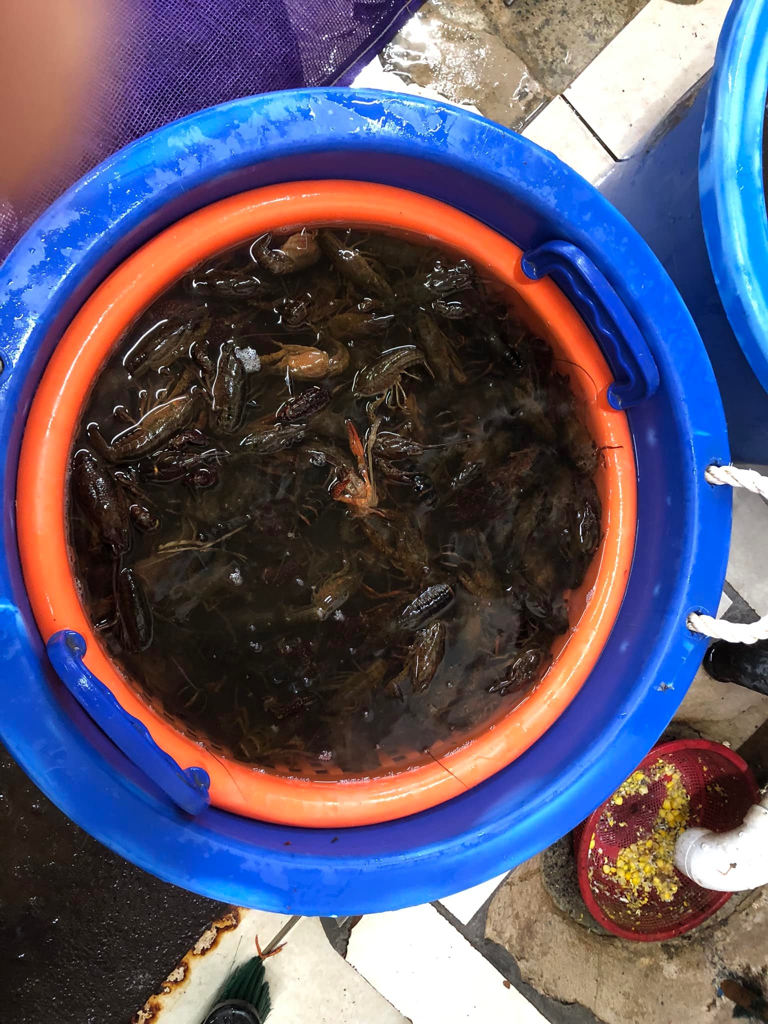 Southern Seafood | Decatur GA