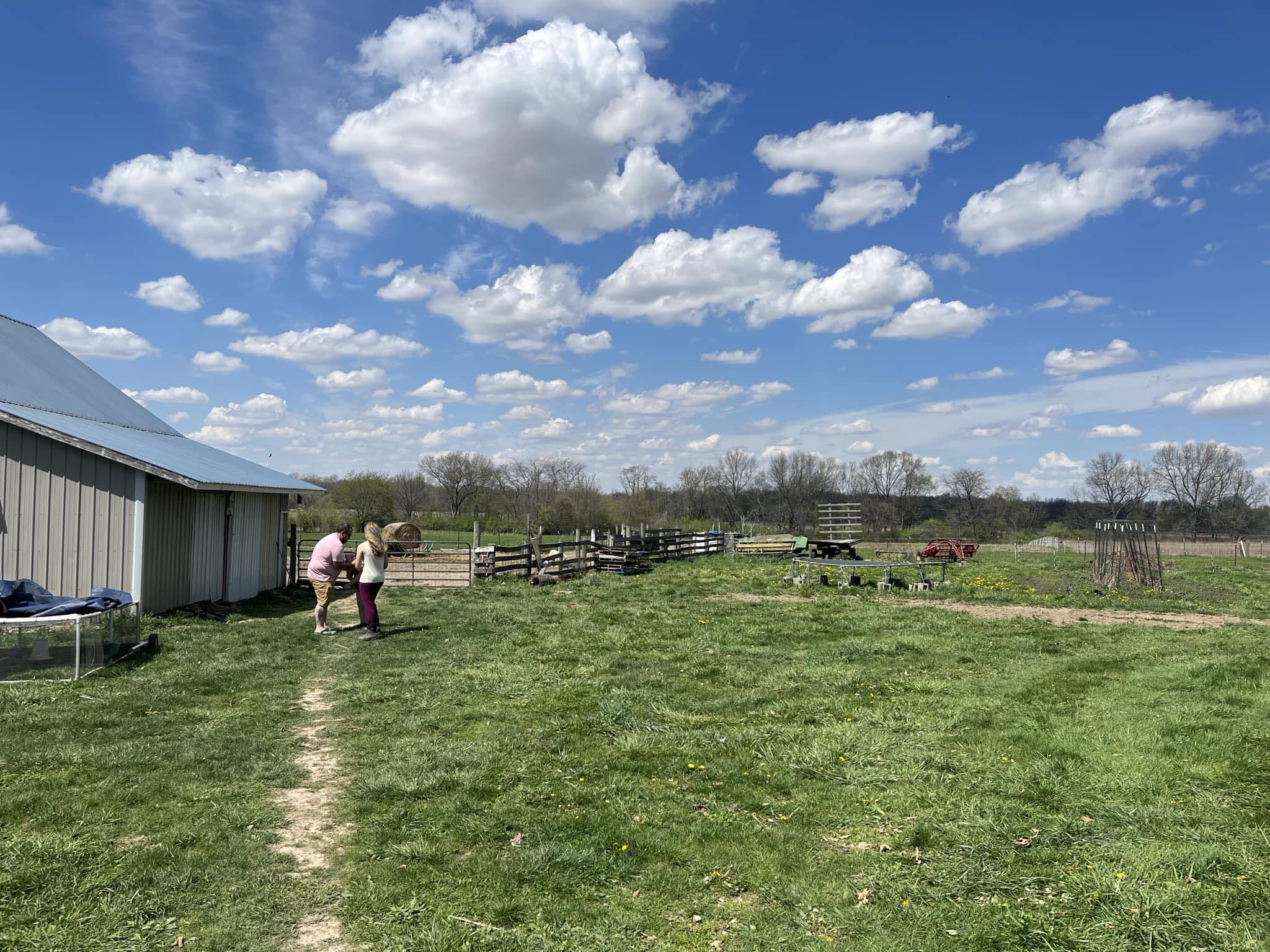 Stultz Family Farm | Yorktown IN
