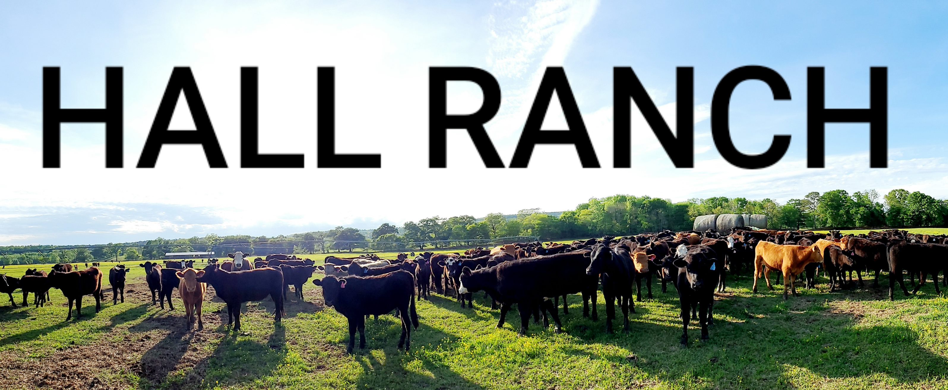 Hall Ranch