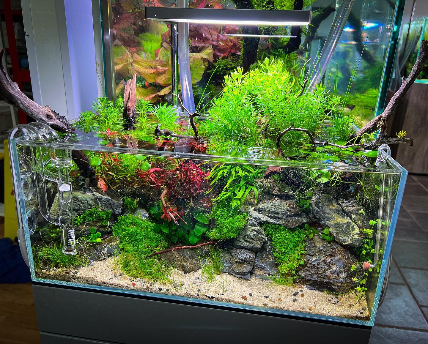 ADA DOOA nano aquarium system for aquascaping