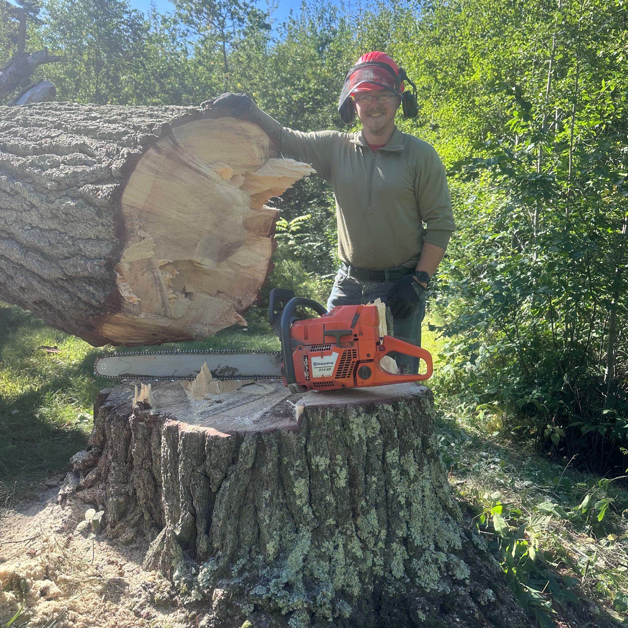 Tree trimming Recommendation | Facebook