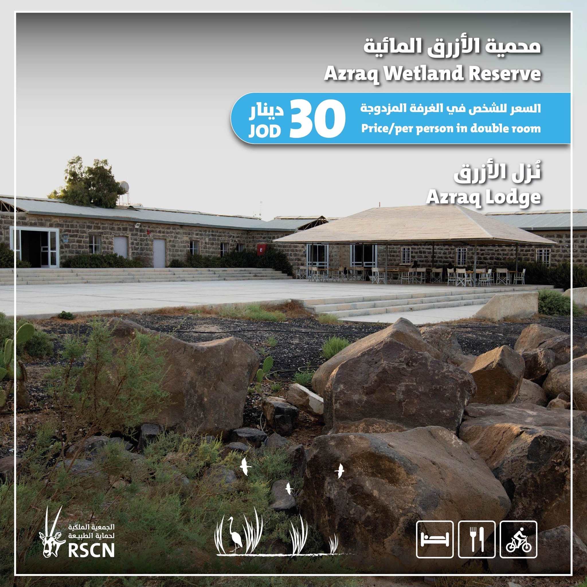 عم بتفكر وين في مكان حلو و غريب... - Wild Jordan برية الأردن | Facebook