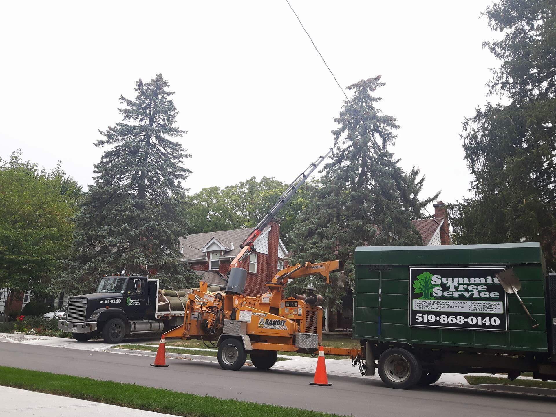 Summit Tree Service