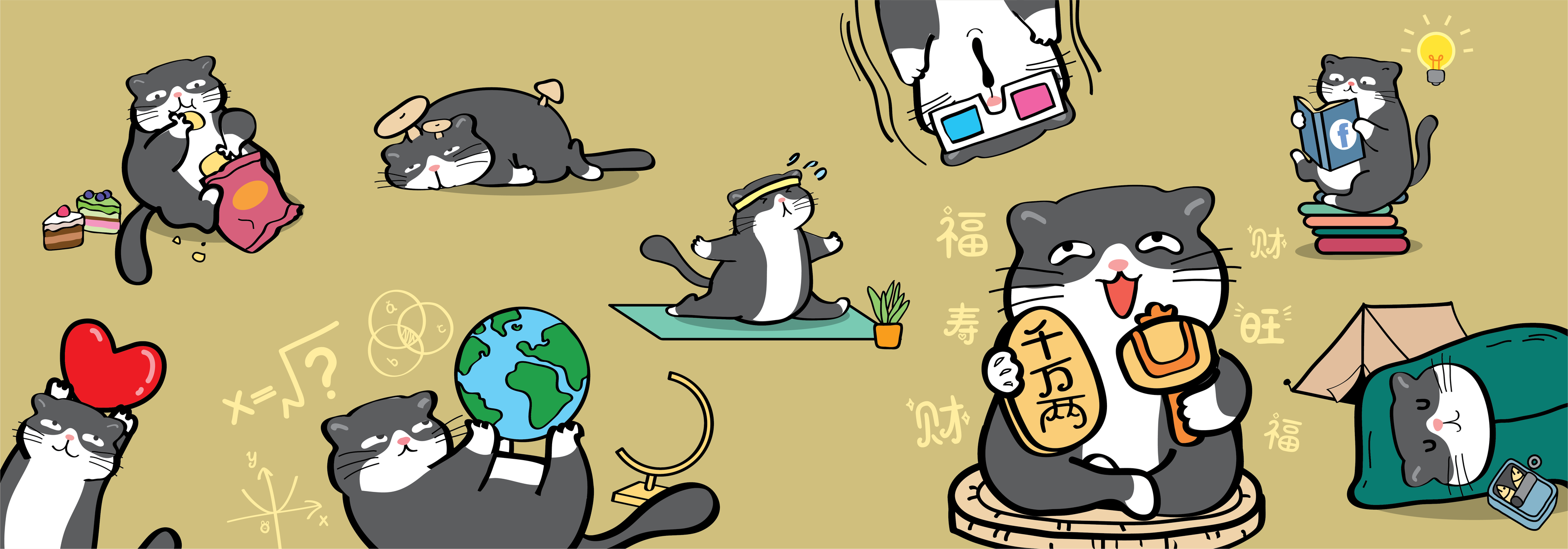 币奇猫 Beachy Cat