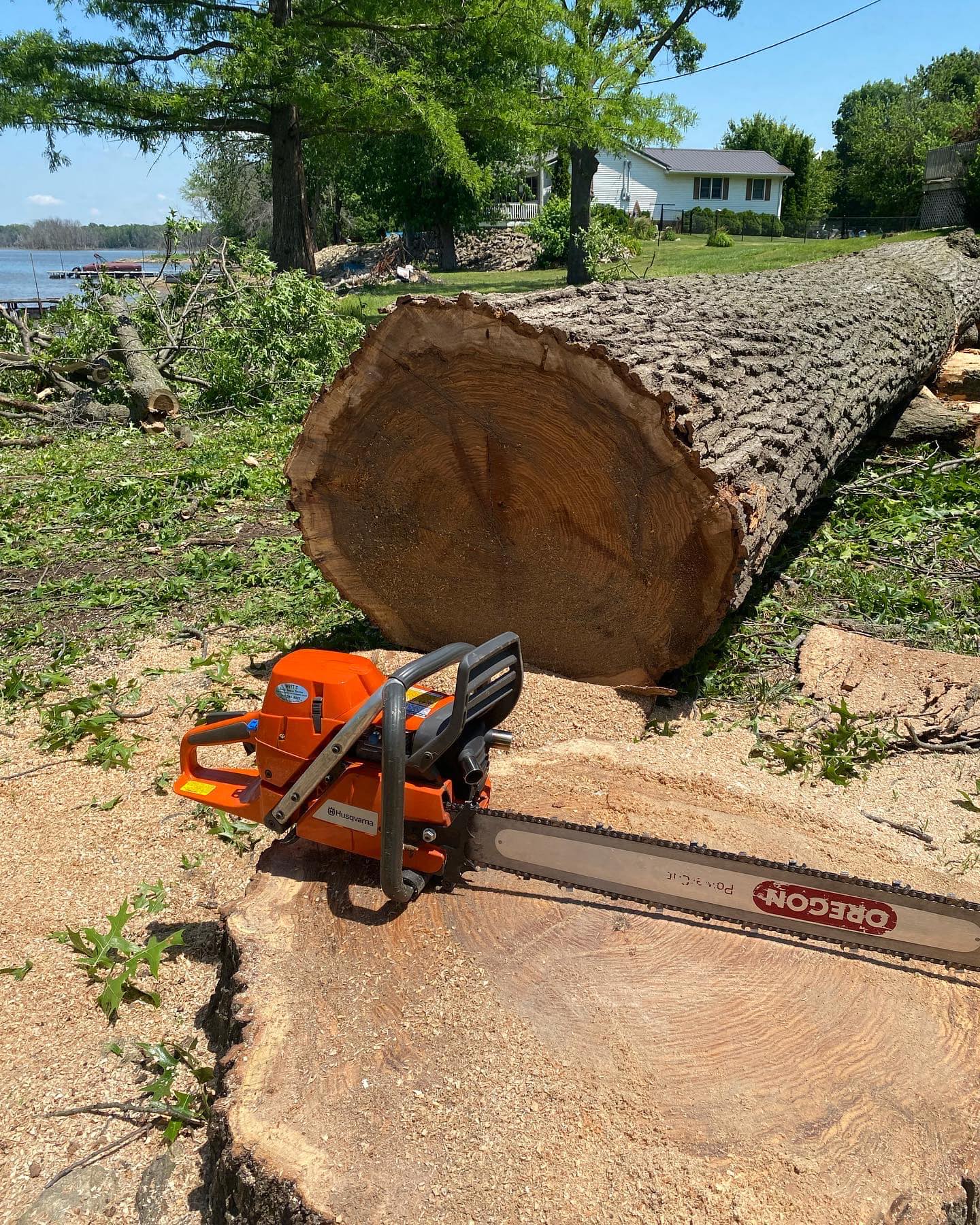 Canopy Tree Service... - Canopy Tree Service LLC 313-378-4164