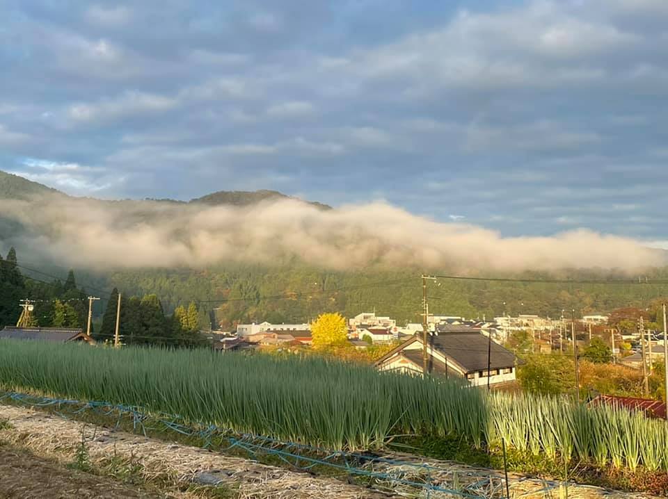京の丹和-きょうのにわ | Funai-gun Kyoto