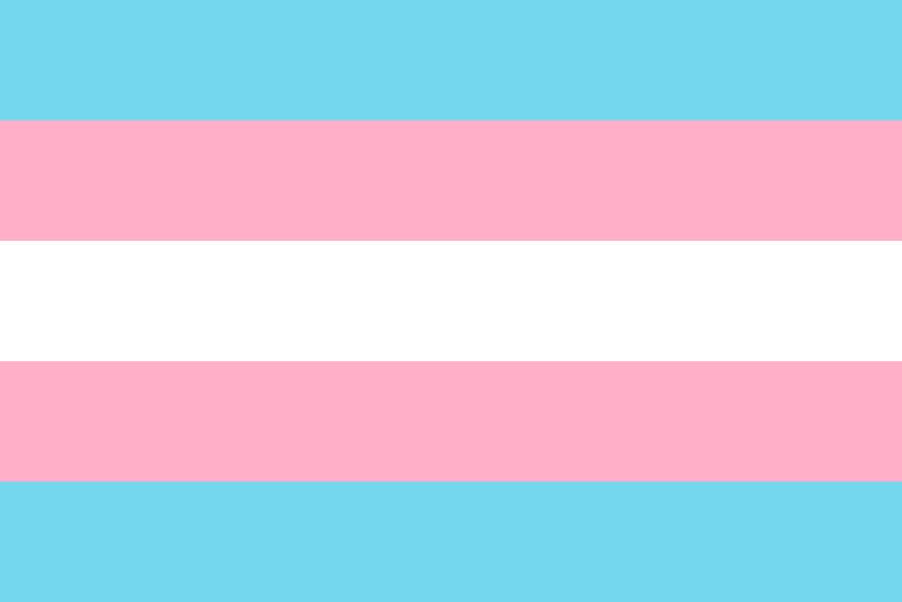 Tim Roca MP - 🏳️‍⚧️ This Trans History Week, we honour the... | Facebook