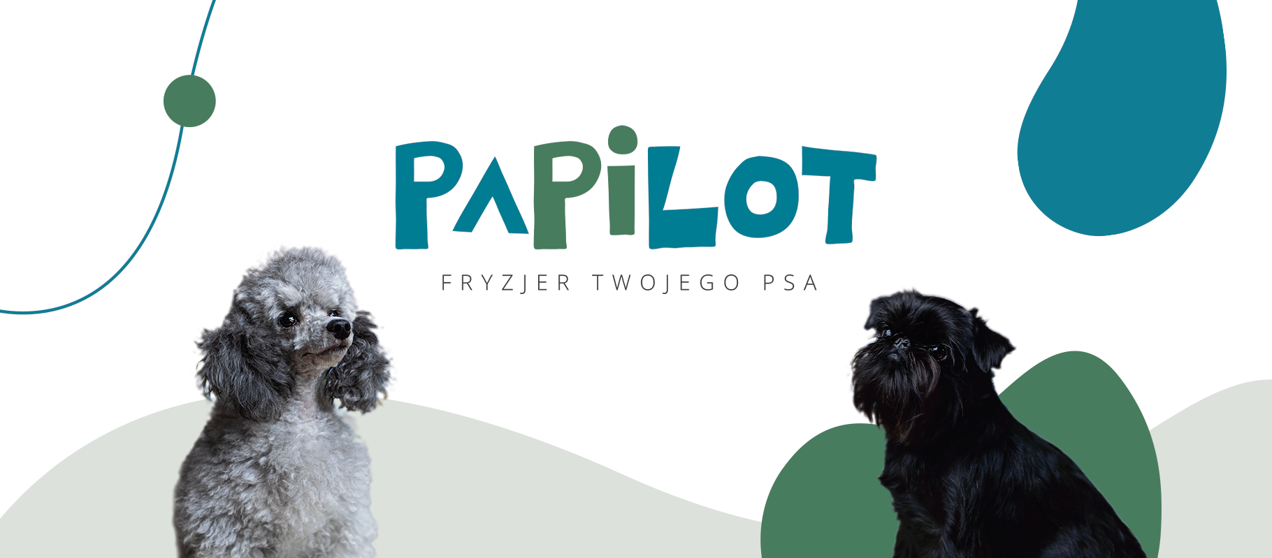 Papilot - fryzjer twojego psa | Dąbrowa Tarnowska gmina