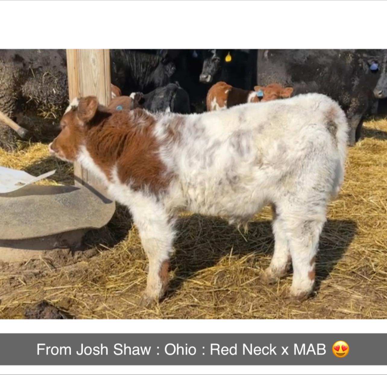 RVC Farms | Cedarville OH