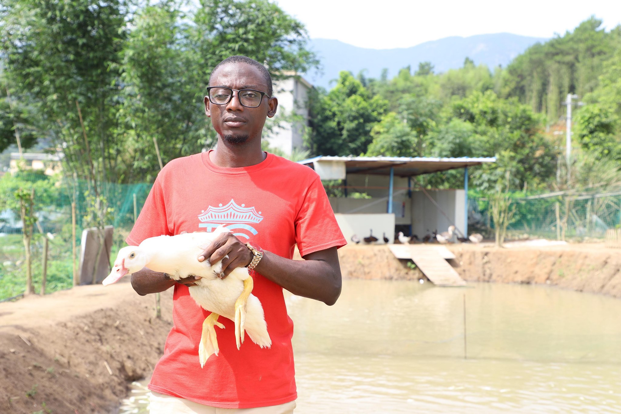 Isa Musa Poultry Farm | Kano