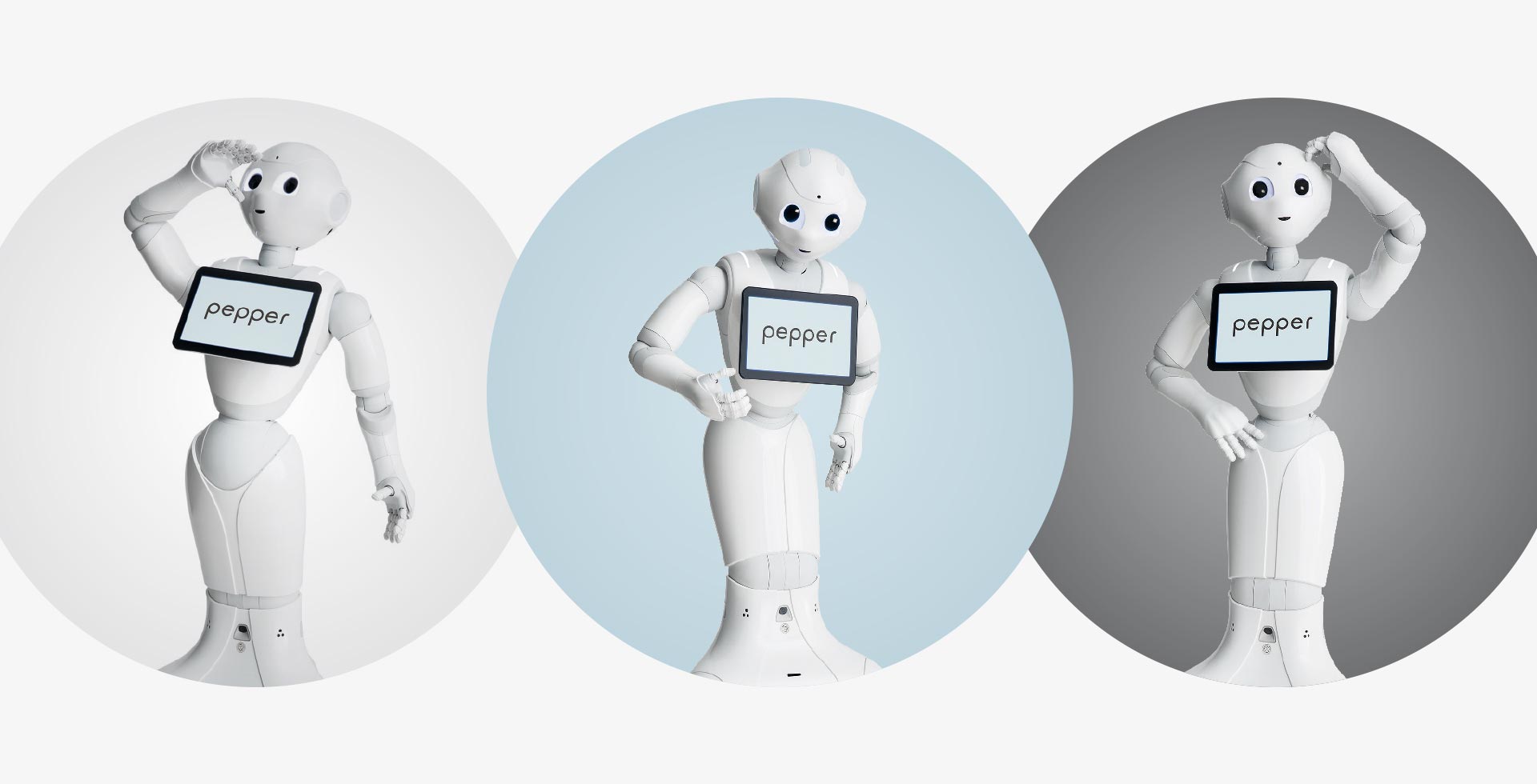 PROBO Robotics GMBH