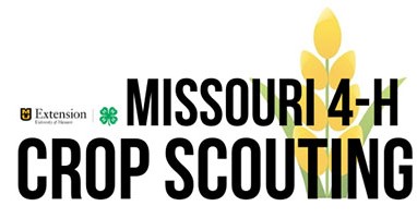 University of Missouri Extension (MU Extension) - Home