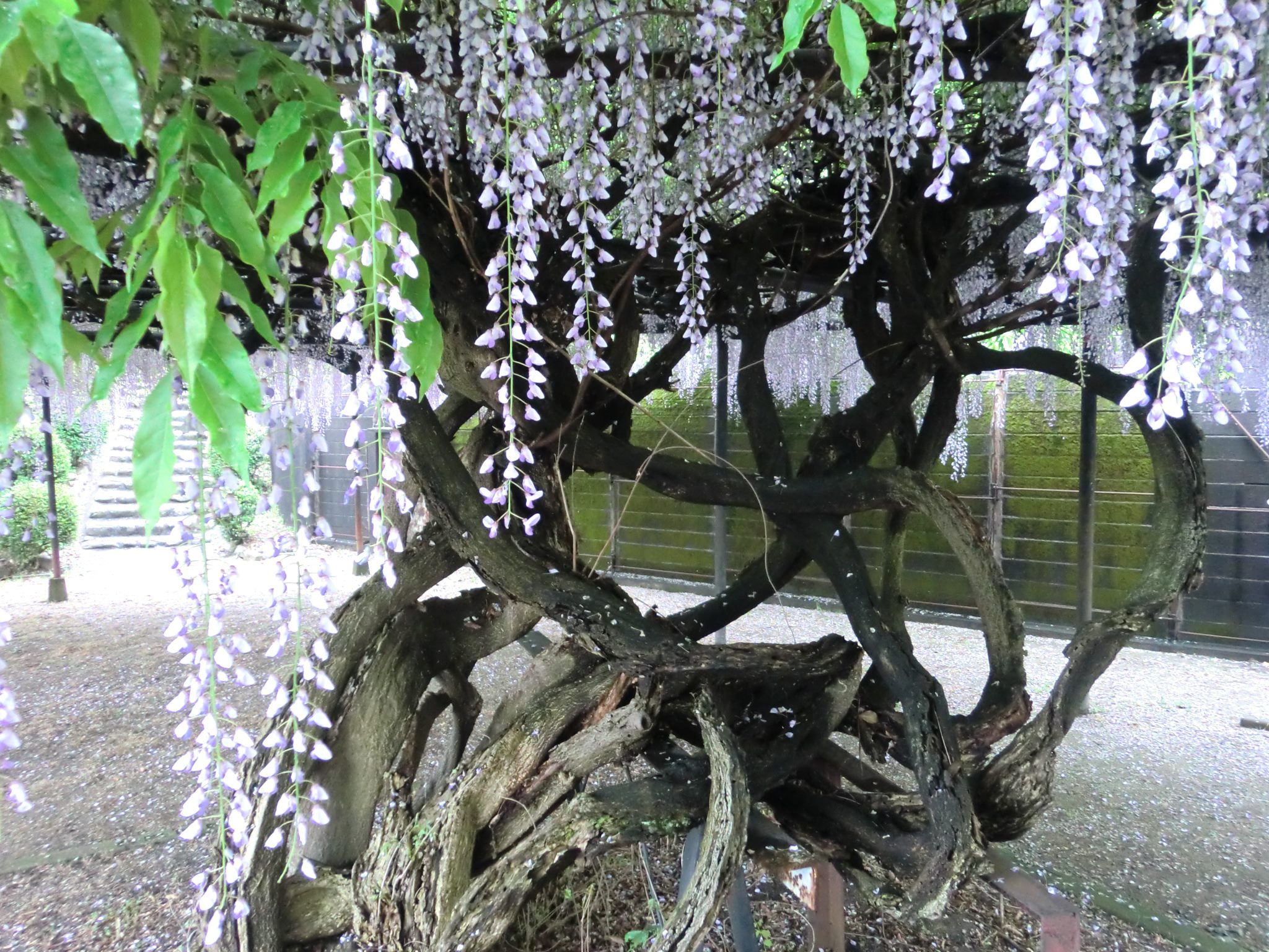 直方市石炭記念館 - 