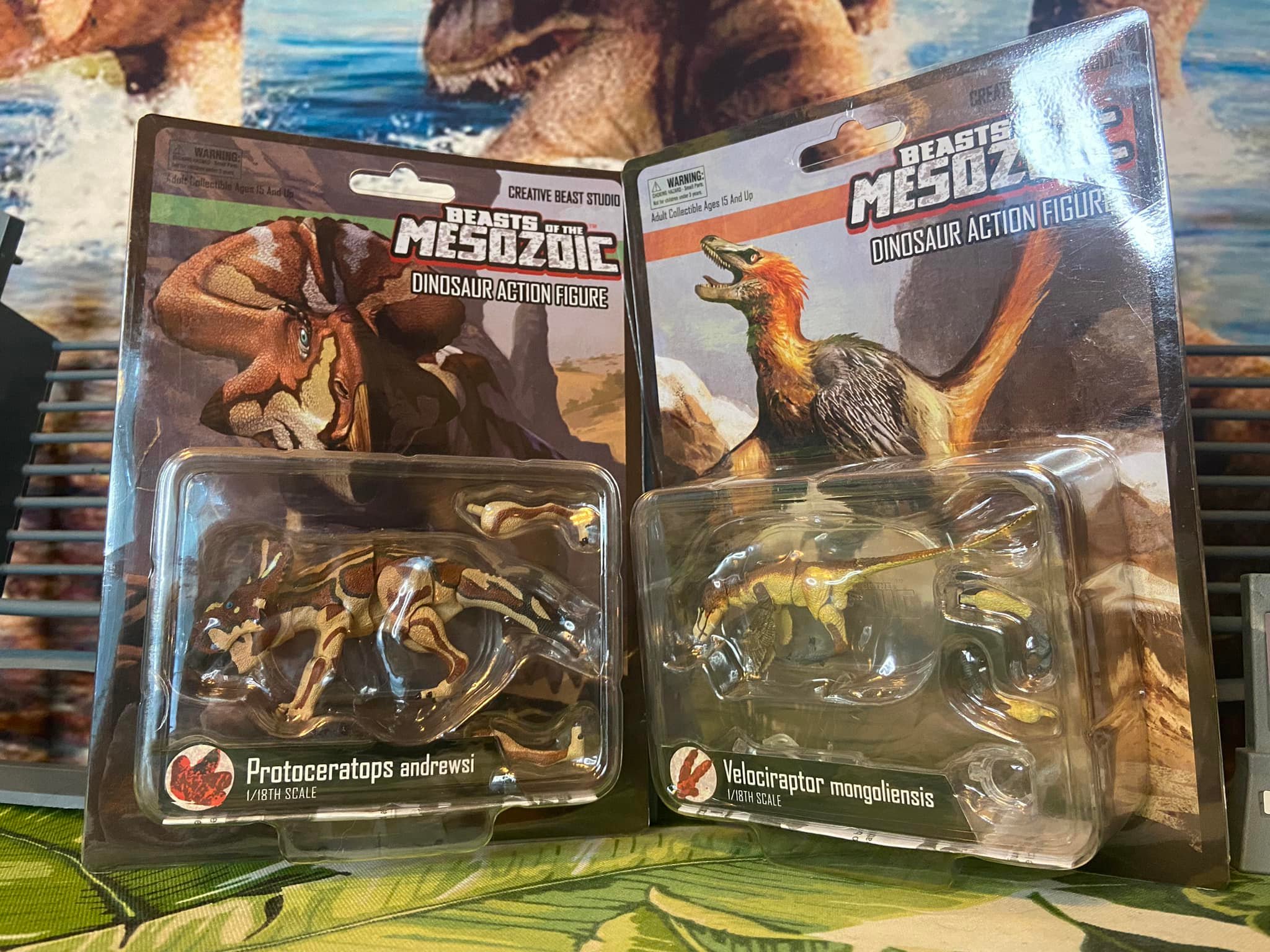 Beasts of the Mesozoic Wendiceratops package art