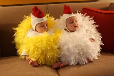 Buster's Chickens