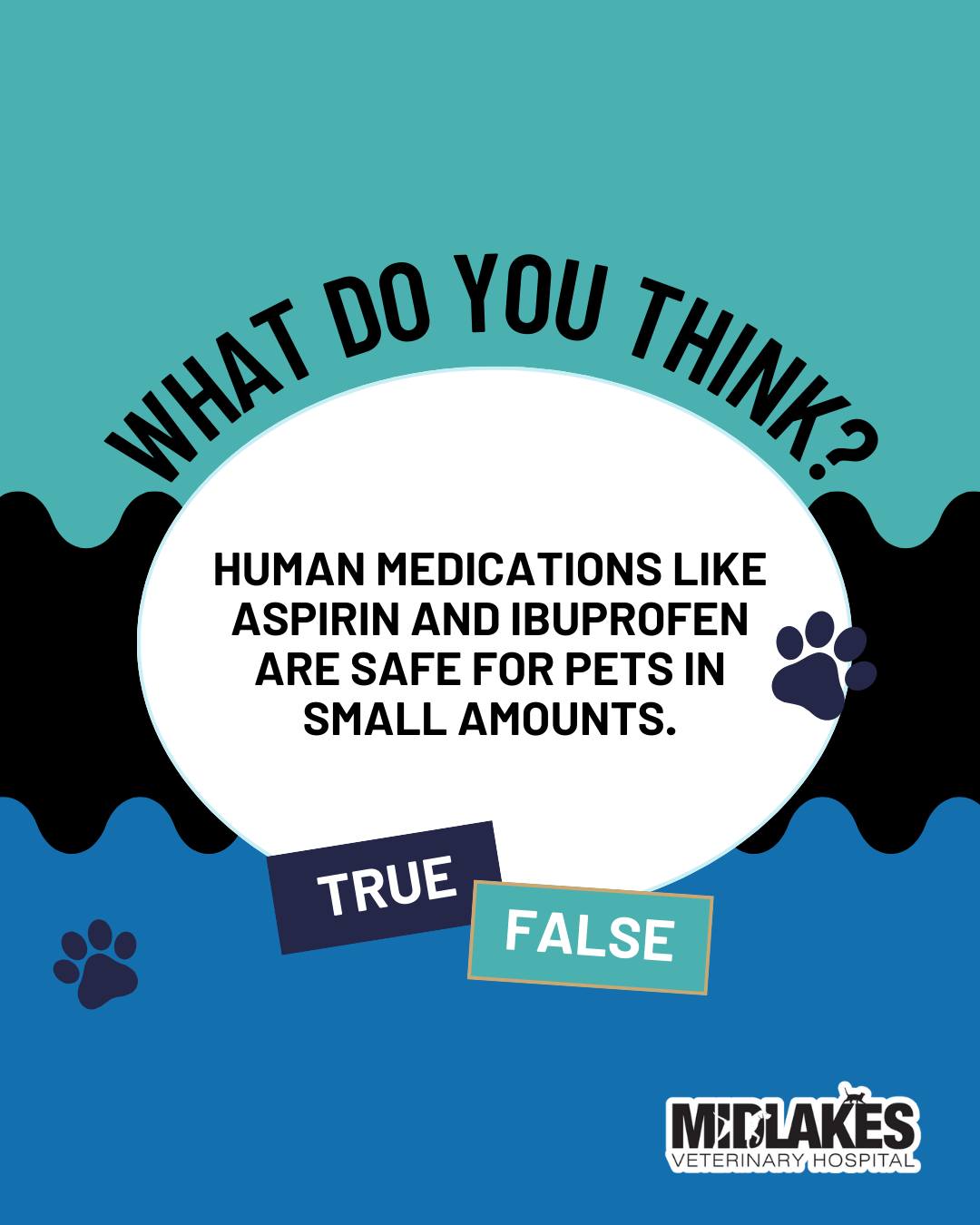 Visual Reference: Midlakes Veterinary Hospital True Or False Human Medications Like