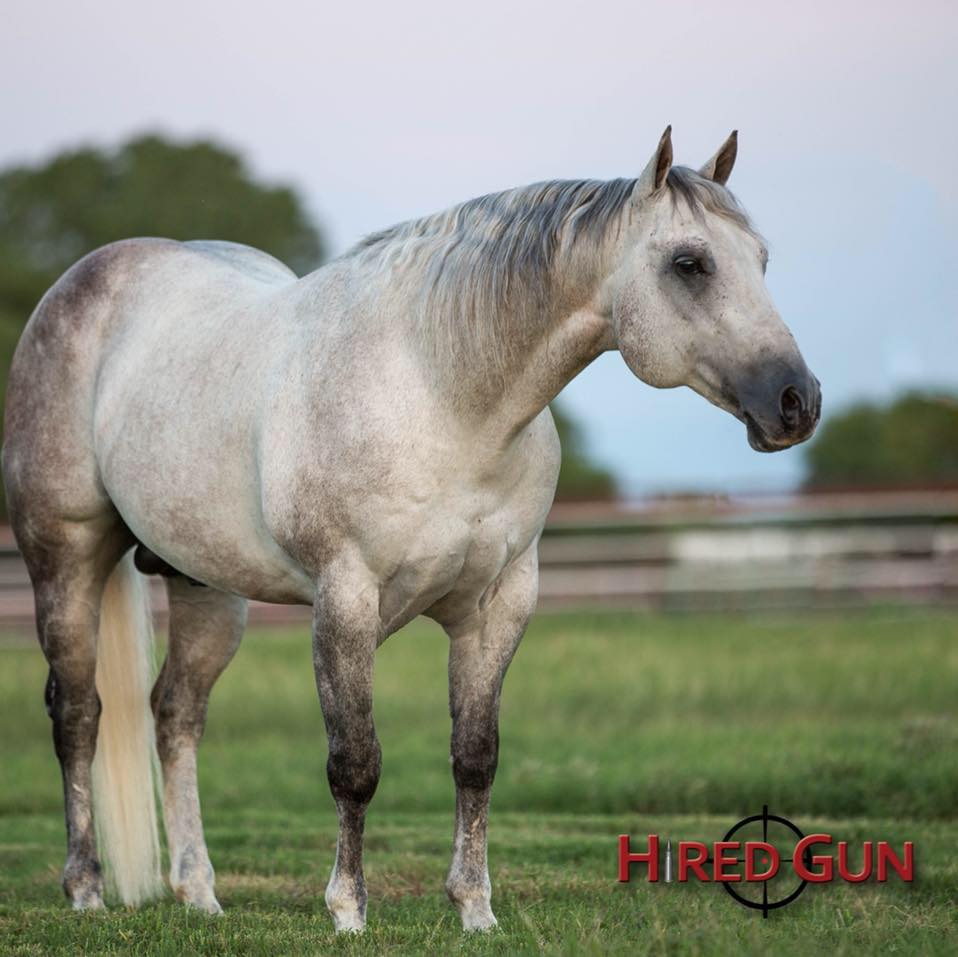 Hired Gun | Facebook