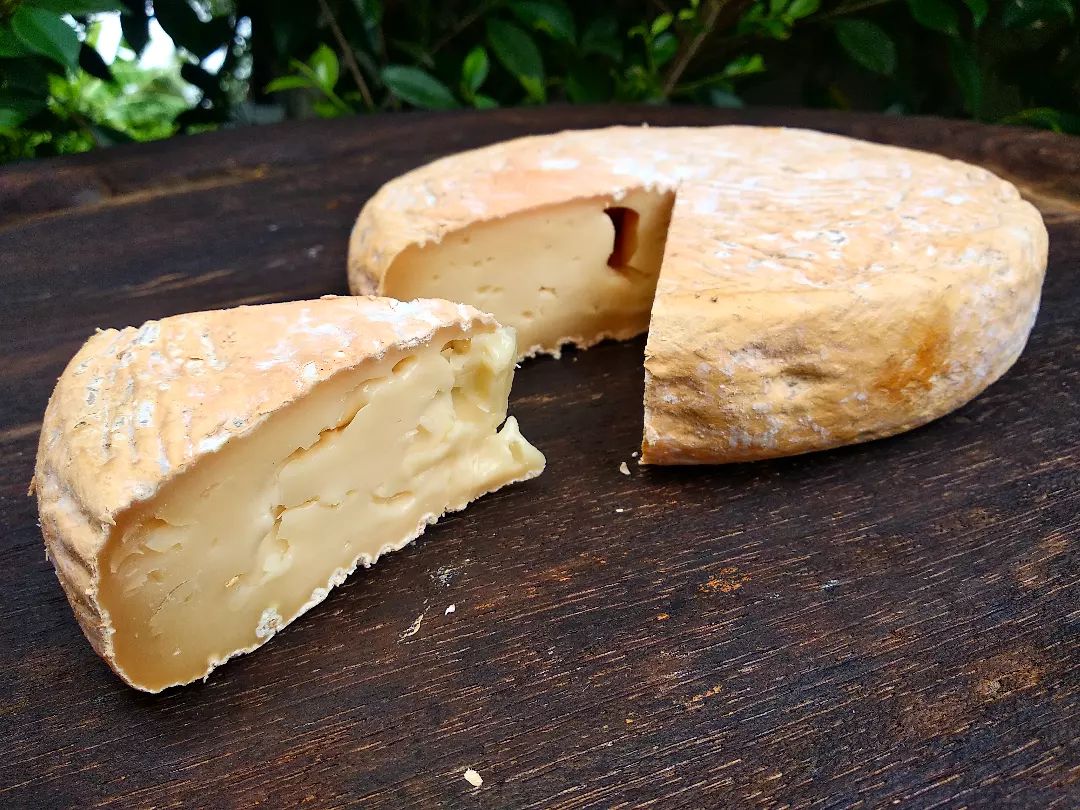 Little Goat Farm, Thai artisan cheese - เชฟให้ผ่าน แปลว่าขายได้แล้วค่ะ ...