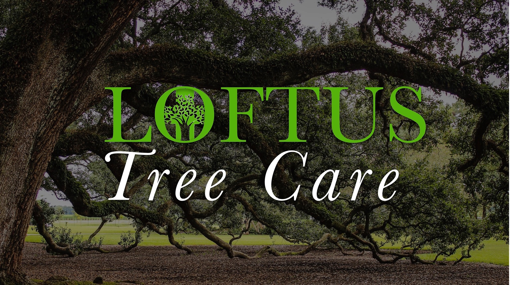 Loftus Tree Care | Long Beach MS