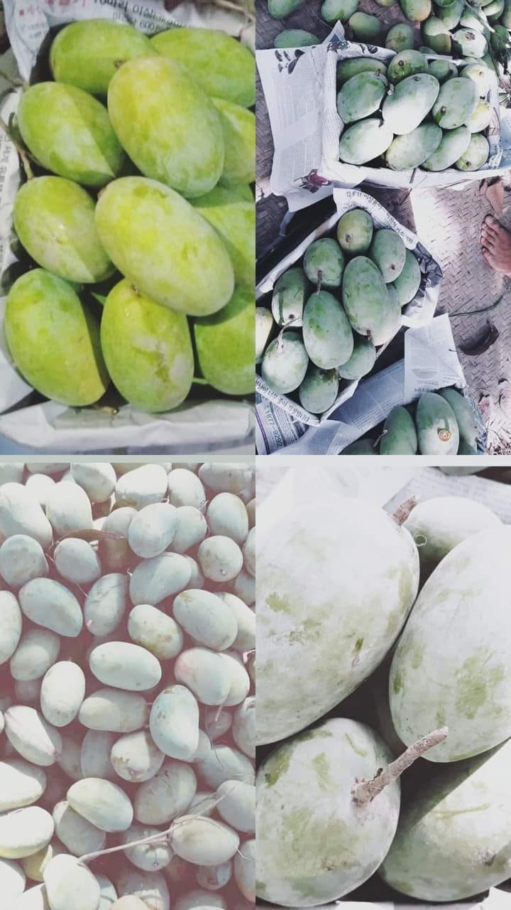 Fruitly Sweets and Mangoes - Multani White Chunsa 10kg Rs.2000 Multani ...