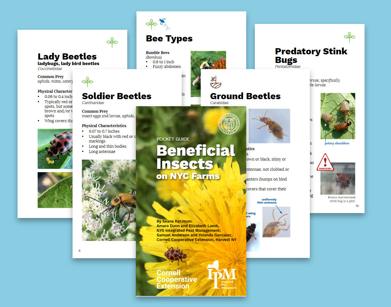 Our Pocket Guide to... - The New York State IPM Program