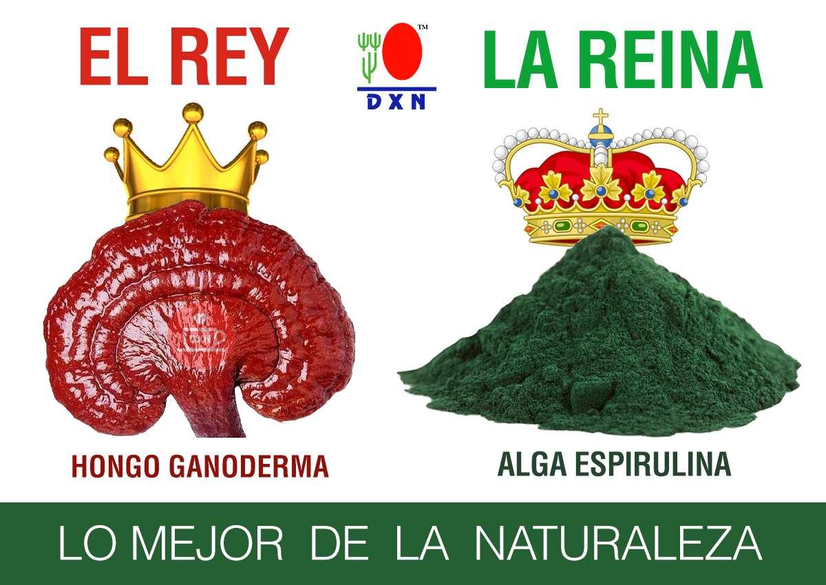 DXN Ganoderma Lucidum added a new... - DXN Ganoderma Lucidum