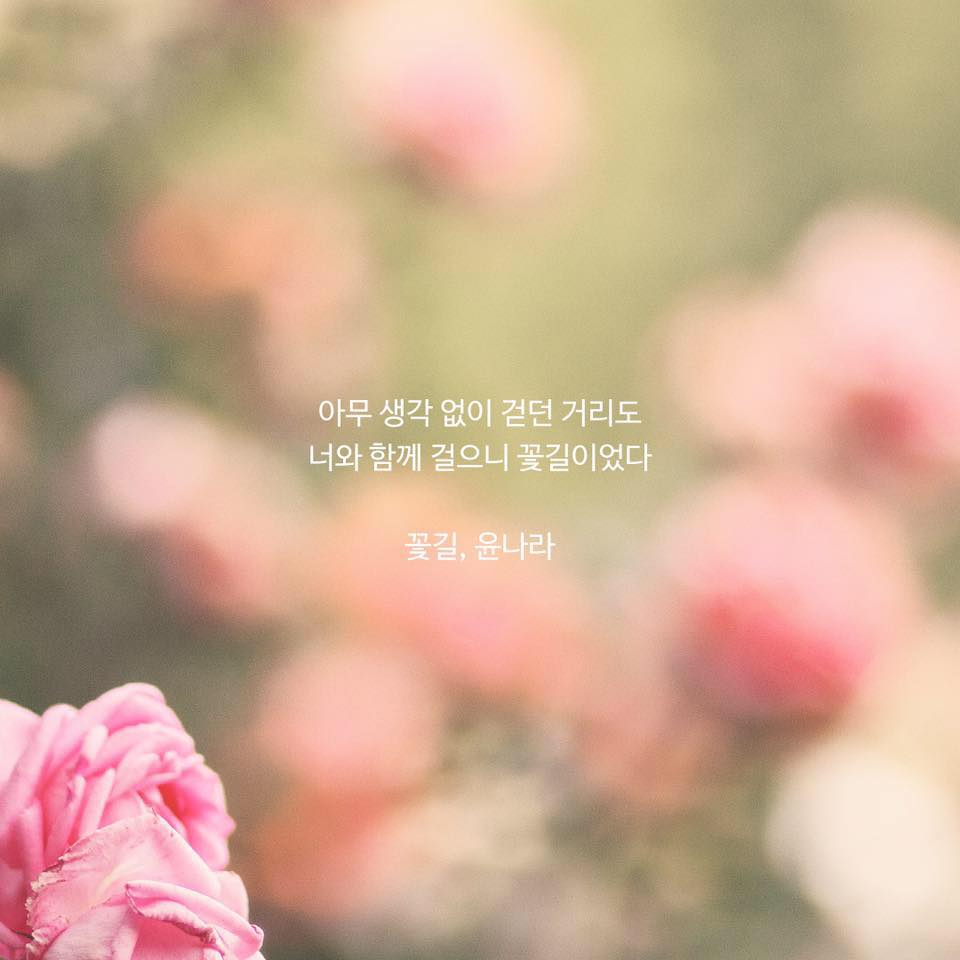 마음을 전하는 글씨 - 이미 떠나간 사람을 그리워하지 마세요. . . . . #글 #글스타그램 #글귀 #글귀스타그램 #감성글귀 ...