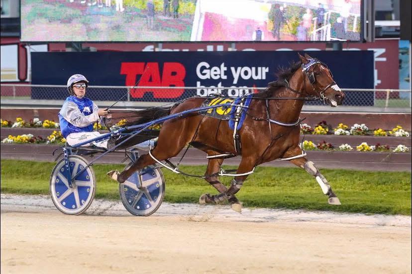 The first rankings are out... - Harness Racing New Zealand | Facebook