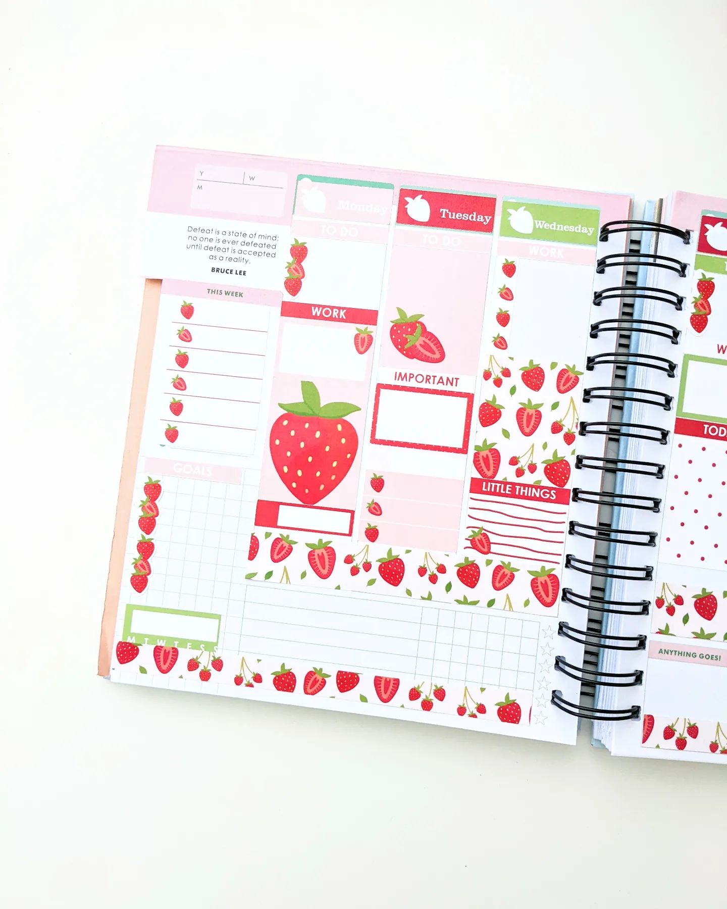 Stickies by C&S - Sample spread from one of our fruit kit...