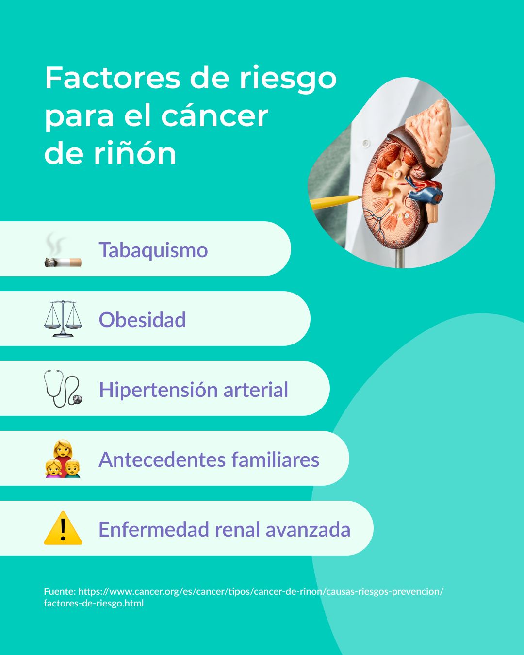 Mend - ¡Cuida tus riñones! El cáncer de riñón, también...