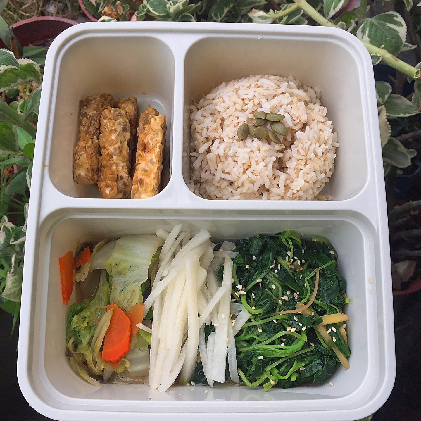 Happy Vege 蔬喜 Dinner Sauteed Chinese Cabbage Sengkuang Sauteed Bayam Gongbao Tempeh Facebook