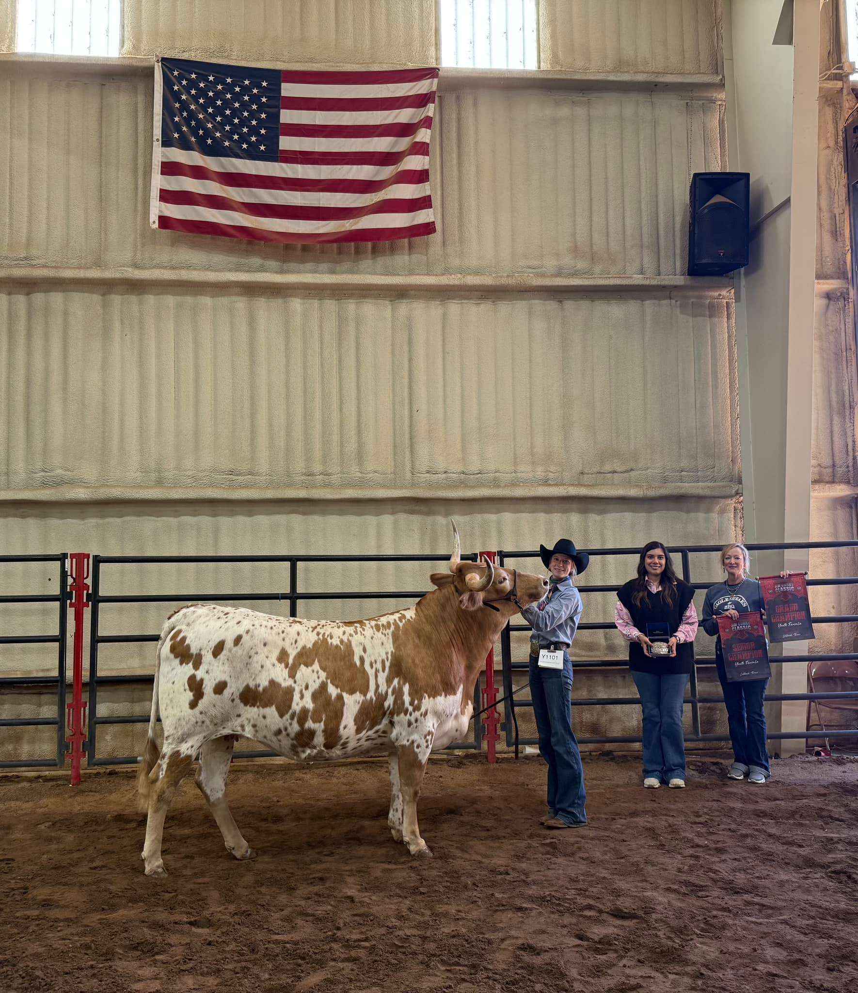 Double R Ranch Longhorns | Grandview TX