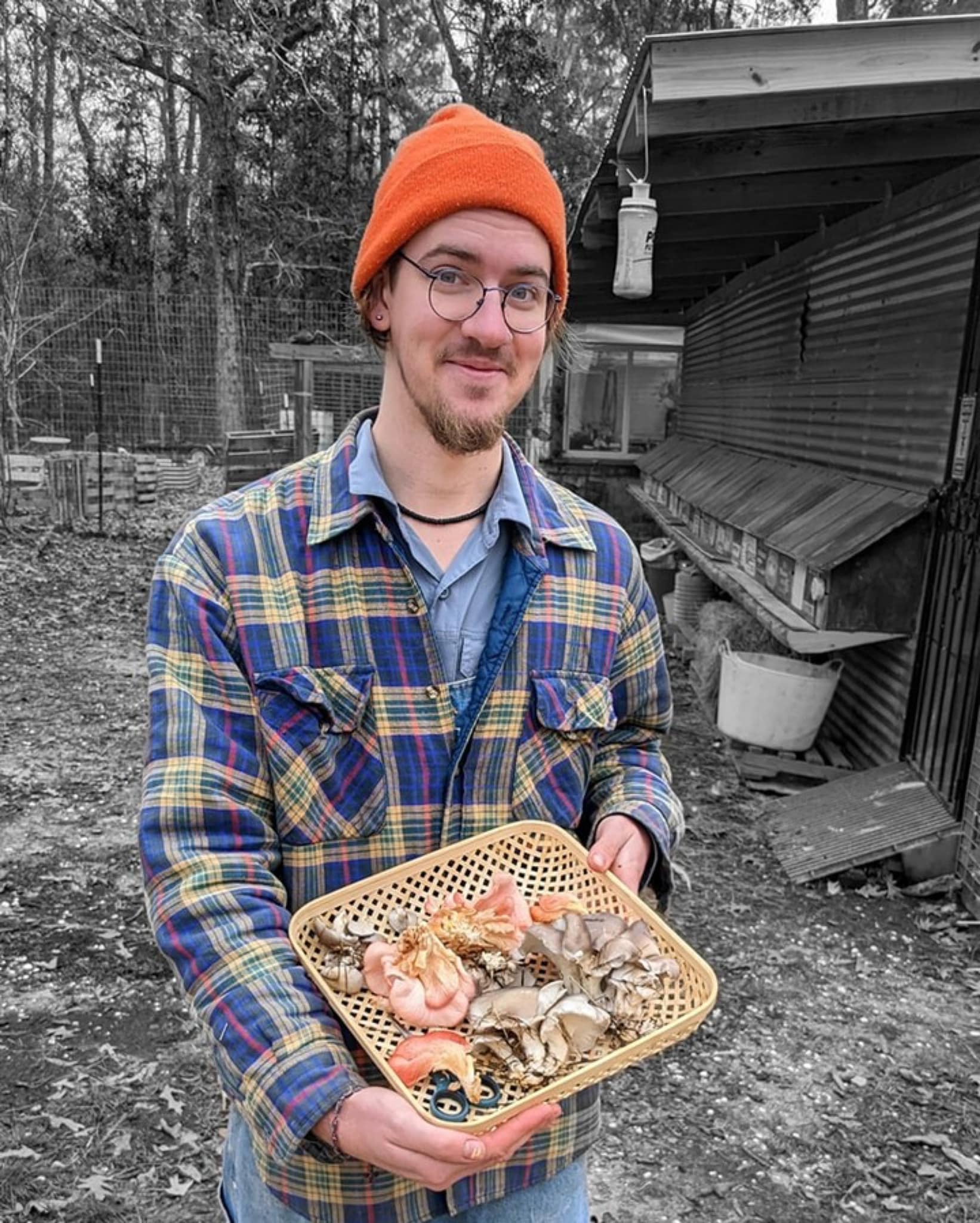 WWOOF-USA - “Our initial foray into fungiculture has... | Facebook