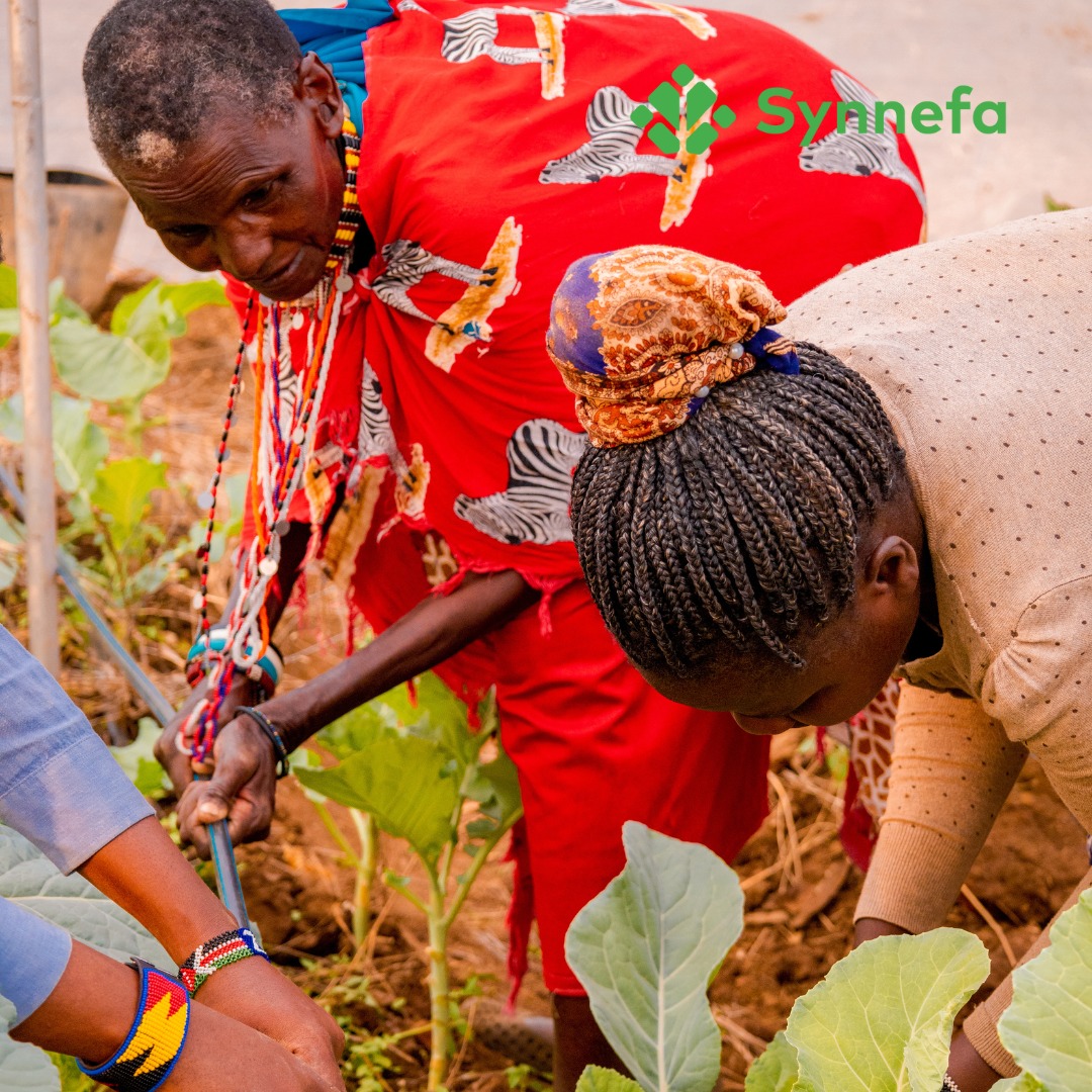 Synnefa - The United Nations has set 17 Sustainable... | Facebook