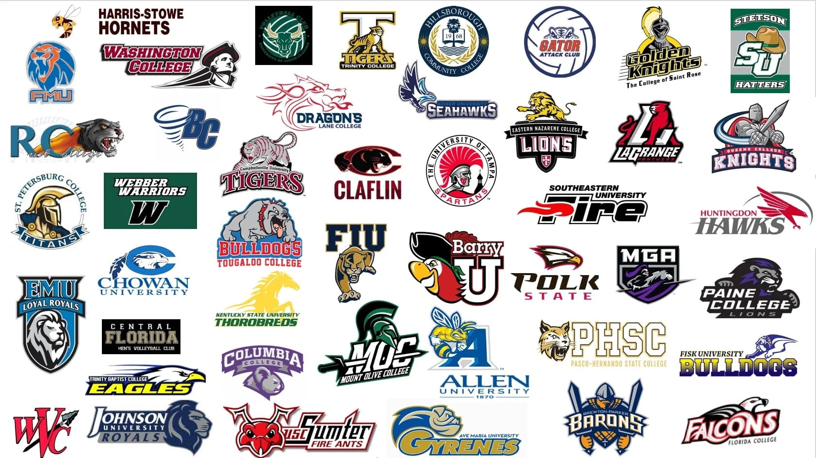 Tampa Bay Raptors - Throughout the years, the Tampa Bay Raptors have ...